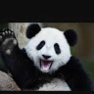 Meet your Posher, Bro sqaud